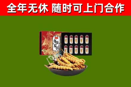 新乡市回收冬虫夏草价格
